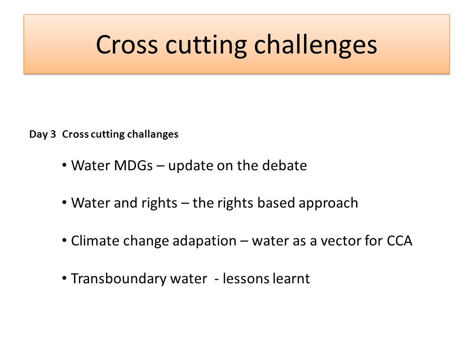 Cross cutting challenges Day 3 Cross cutting challanges Water MDGs – update on the debate Water and rights – the rights based approach Climate change adapation – water as a vector for CCA Transboundary water - lessons learnt
