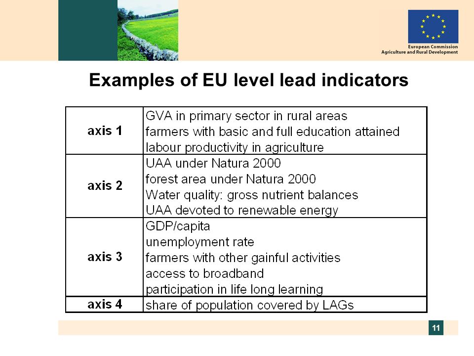 11 Examples of EU level lead indicators