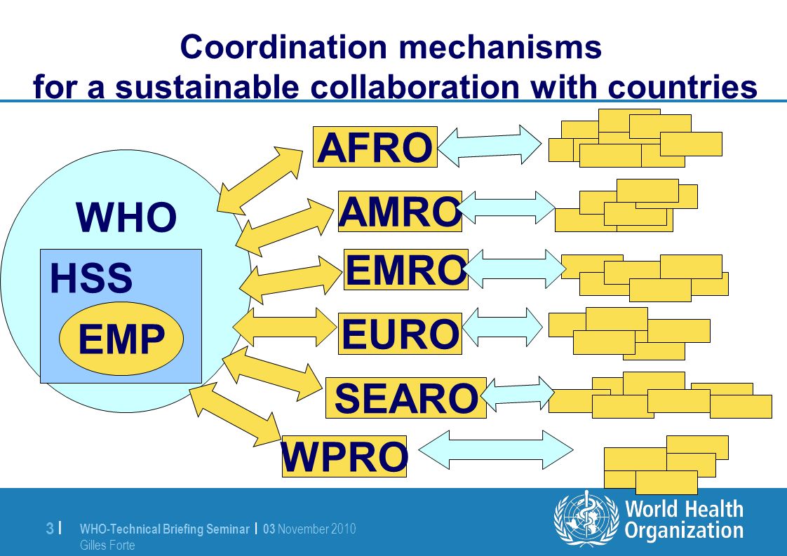 WHO-Technical Briefing Seminar | 03 November 2010 Gilles Forte 3 |3 | Coordination mechanisms for a sustainable collaboration with countries WHO HSS EMP AFRO AMRO EMRO EURO SEARO WPRO