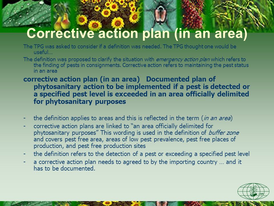 Corrective action plan (in an area) The TPG was asked to consider if a definition was needed.