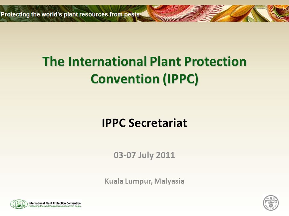 The International Plant Protection Convention (IPPC) IPPC Secretariat July 2011 Kuala Lumpur, Malyasia