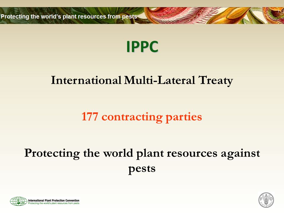 IPPC International Multi-Lateral Treaty 177 contracting parties Protecting the world plant resources against pests