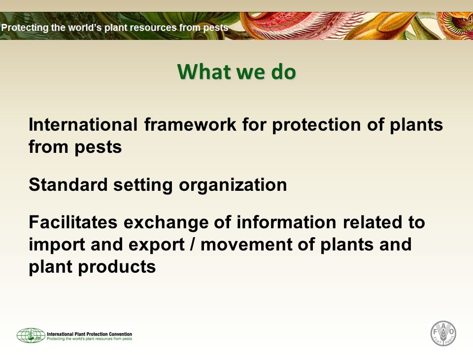 What we do International framework for protection of plants from pests Standard setting organization Facilitates exchange of information related to import and export / movement of plants and plant products