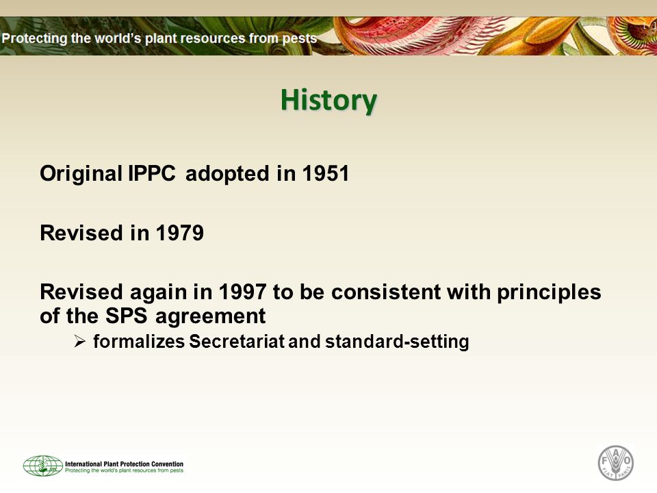 History Original IPPC adopted in 1951 Revised in 1979 Revised again in 1997 to be consistent with principles of the SPS agreement formalizes Secretariat and standard-setting