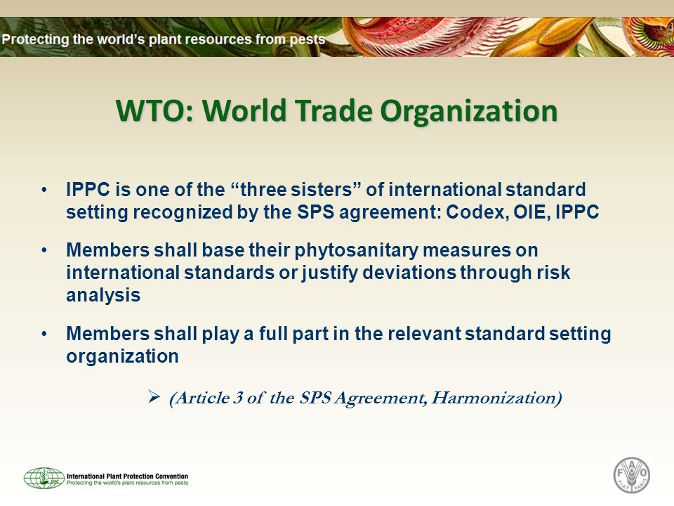 WTO: World Trade Organization IPPC is one of the three sisters of international standard setting recognized by the SPS agreement: Codex, OIE, IPPC Members shall base their phytosanitary measures on international standards or justify deviations through risk analysis Members shall play a full part in the relevant standard setting organization (Article 3 of the SPS Agreement, Harmonization)