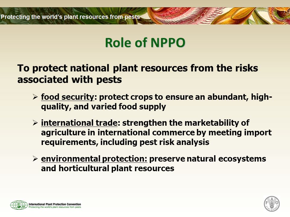 Role of NPPO To protect national plant resources from the risks associated with pests food security: protect crops to ensure an abundant, high- quality, and varied food supply international trade: strengthen the marketability of agriculture in international commerce by meeting import requirements, including pest risk analysis environmental protection: preserve natural ecosystems and horticultural plant resources