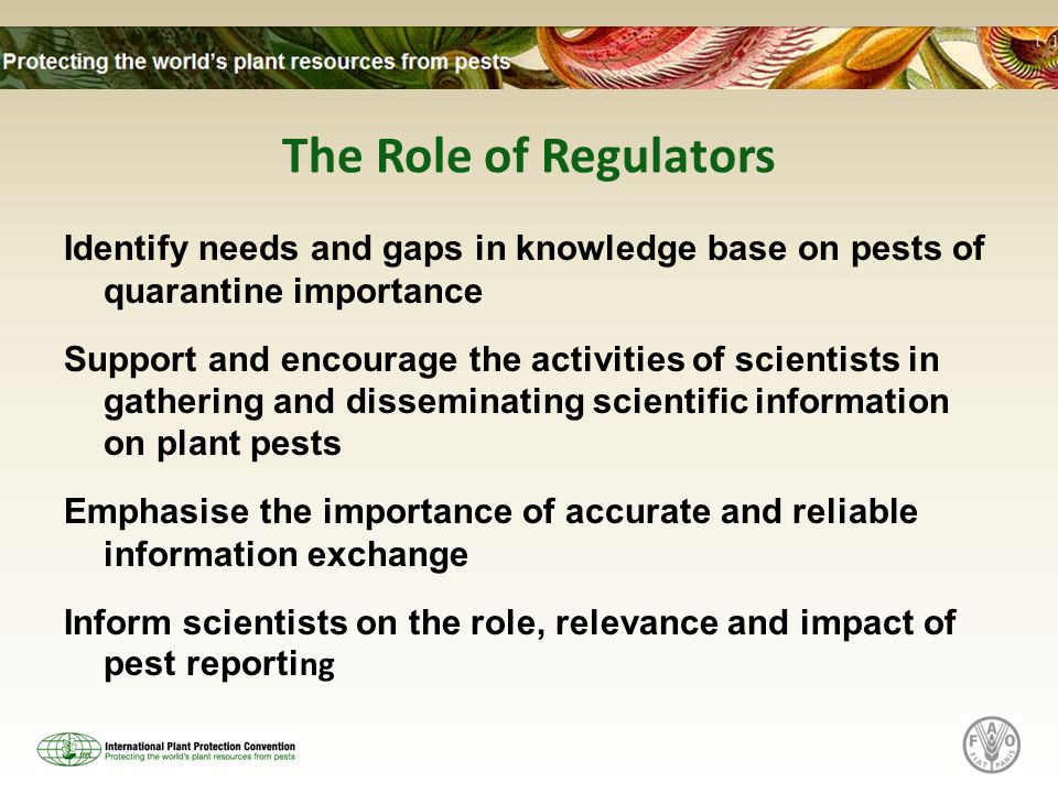 The Role of Regulators Identify needs and gaps in knowledge base on pests of quarantine importance Support and encourage the activities of scientists in gathering and disseminating scientific information on plant pests Emphasise the importance of accurate and reliable information exchange Inform scientists on the role, relevance and impact of pest reporti ng