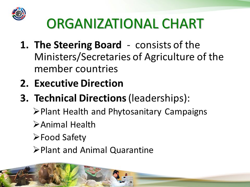 ORGANIZATIONAL CHART 1.The Steering Board - consists of the Ministers/Secretaries of Agriculture of the member countries 2.Executive Direction 3.Technical Directions (leaderships): Plant Health and Phytosanitary Campaigns Animal Health Food Safety Plant and Animal Quarantine