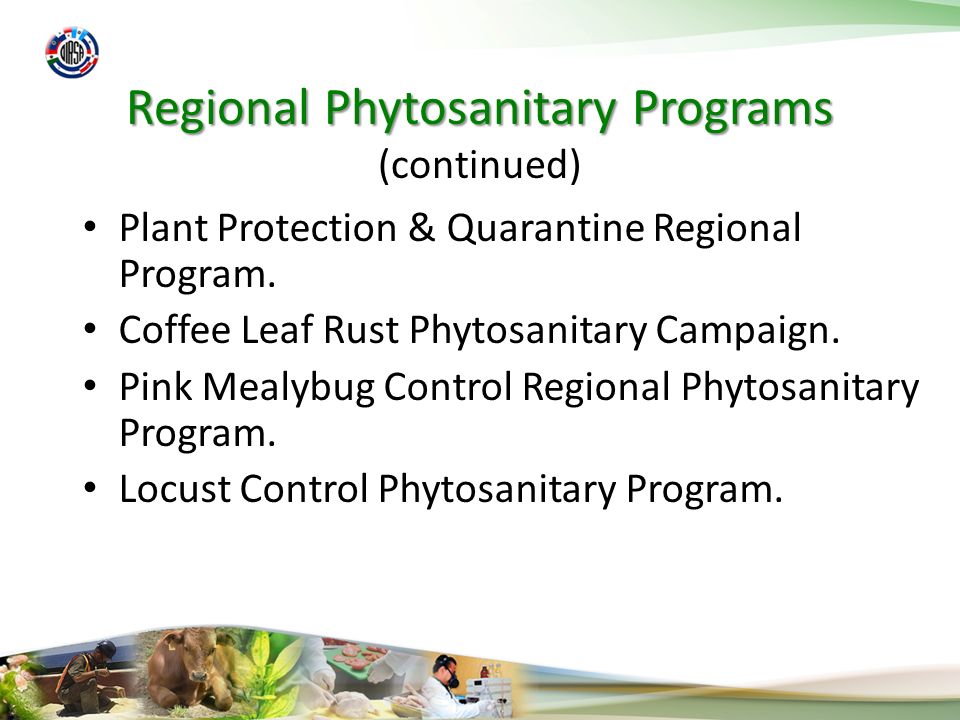 Regional Phytosanitary Programs Regional Phytosanitary Programs (continued) Plant Protection & Quarantine Regional Program.