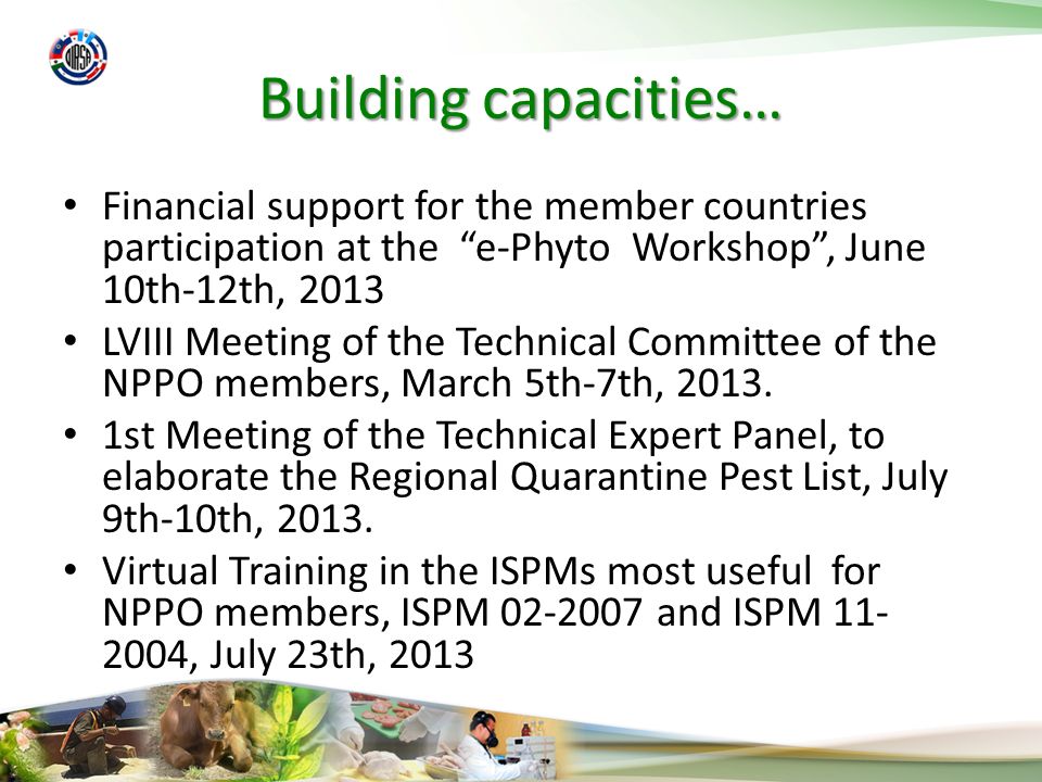 Building capacities… Financial support for the member countries participation at the e-Phyto Workshop, June 10th-12th, 2013 LVIII Meeting of the Technical Committee of the NPPO members, March 5th-7th, 2013.