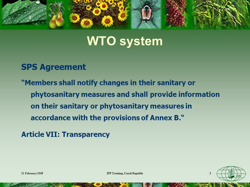 21 February 2005IPP Training, Czech Republic2 WTO system SPS Agreement Members shall notify changes in their sanitary or phytosanitary measures and shall provide information on their sanitary or phytosanitary measures in accordance with the provisions of Annex B.