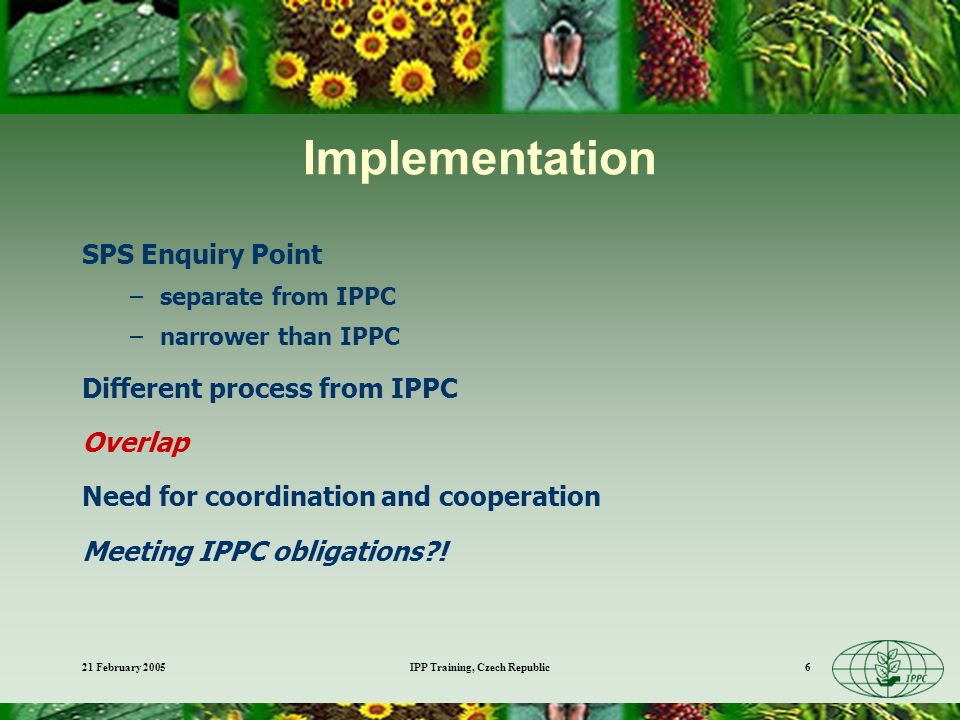 21 February 2005IPP Training, Czech Republic6 Implementation SPS Enquiry Point –separate from IPPC –narrower than IPPC Different process from IPPC Overlap Need for coordination and cooperation Meeting IPPC obligations !