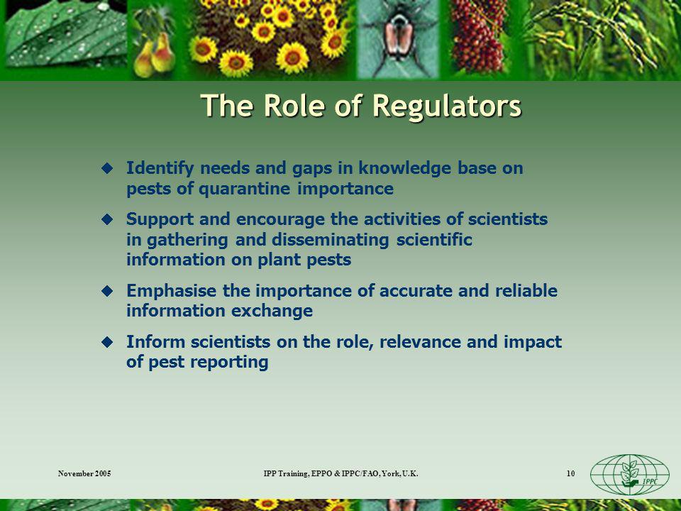 November 2005IPP Training, EPPO & IPPC/FAO, York, U.K.10 The Role of Regulators Identify needs and gaps in knowledge base on pests of quarantine importance Support and encourage the activities of scientists in gathering and disseminating scientific information on plant pests Emphasise the importance of accurate and reliable information exchange Inform scientists on the role, relevance and impact of pest reporting