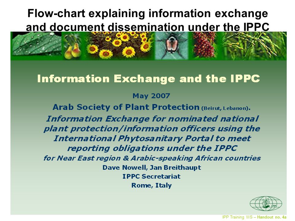 Flow-chart explaining information exchange and document dissemination under the IPPC IPP Training WS – Handout no.