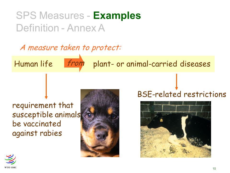 10 SPS Measures - Examples Definition - Annex A Human lifeplant- or animal-carried diseases from A measure taken to protect: requirement that susceptible animals be vaccinated against rabies BSE-related restrictions