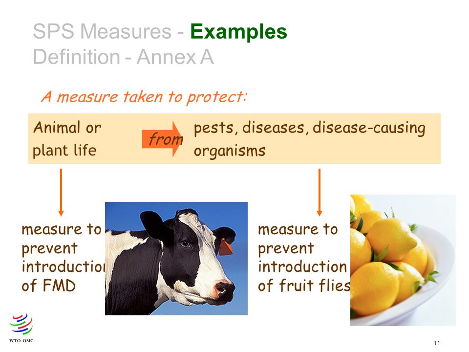 11 SPS Measures - Examples Definition - Annex A A measure taken to protect: Animal or pests, diseases, disease-causing plant life organisms from measure to prevent introduction of FMD measure to prevent introduction of fruit flies