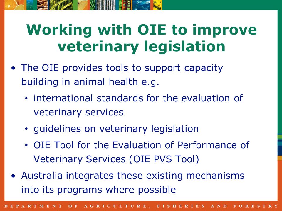 Working with OIE to improve veterinary legislation The OIE provides tools to support capacity building in animal health e.g.