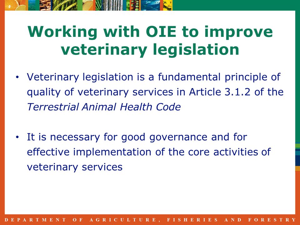 Working with OIE to improve veterinary legislation Veterinary legislation is a fundamental principle of quality of veterinary services in Article of the Terrestrial Animal Health Code It is necessary for good governance and for effective implementation of the core activities of veterinary services