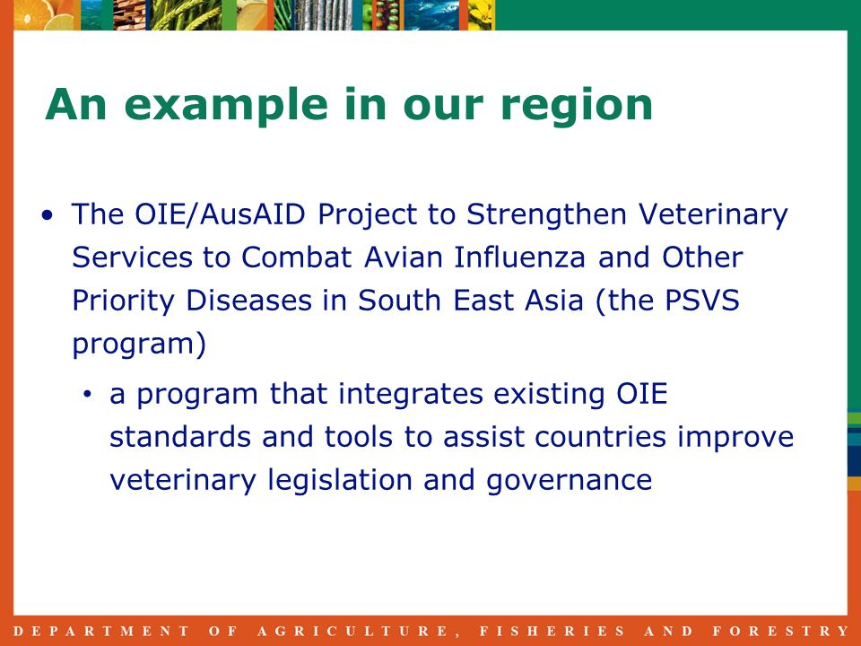 An example in our region The OIE/AusAID Project to Strengthen Veterinary Services to Combat Avian Influenza and Other Priority Diseases in South East Asia (the PSVS program) a program that integrates existing OIE standards and tools to assist countries improve veterinary legislation and governance