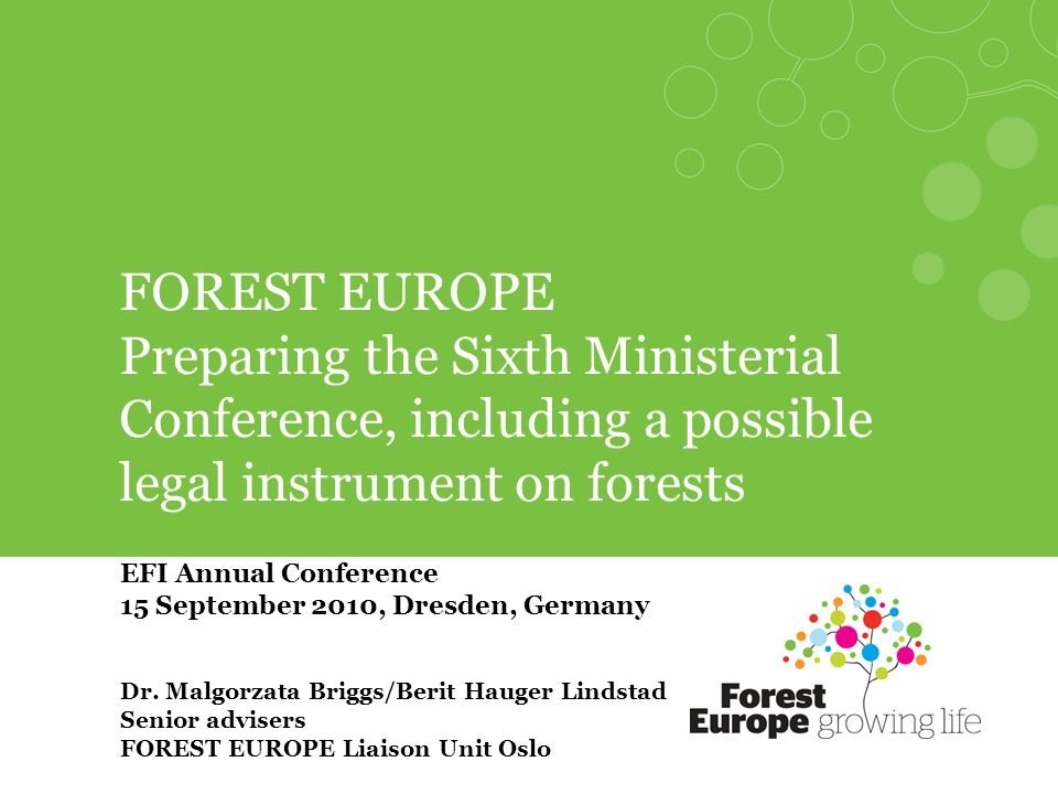 FOREST EUROPE Preparing the Sixth Ministerial Conference, including a possible legal instrument on forests EFI Annual Conference 15 September 2010, Dresden, Germany Dr.