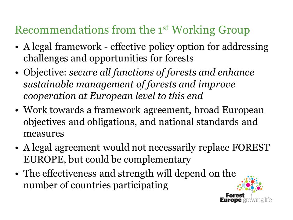 Recommendations from the 1 st Working Group A legal framework - effective policy option for addressing challenges and opportunities for forests Objective: secure all functions of forests and enhance sustainable management of forests and improve cooperation at European level to this end Work towards a framework agreement, broad European objectives and obligations, and national standards and measures A legal agreement would not necessarily replace FOREST EUROPE, but could be complementary The effectiveness and strength will depend on the number of countries participating