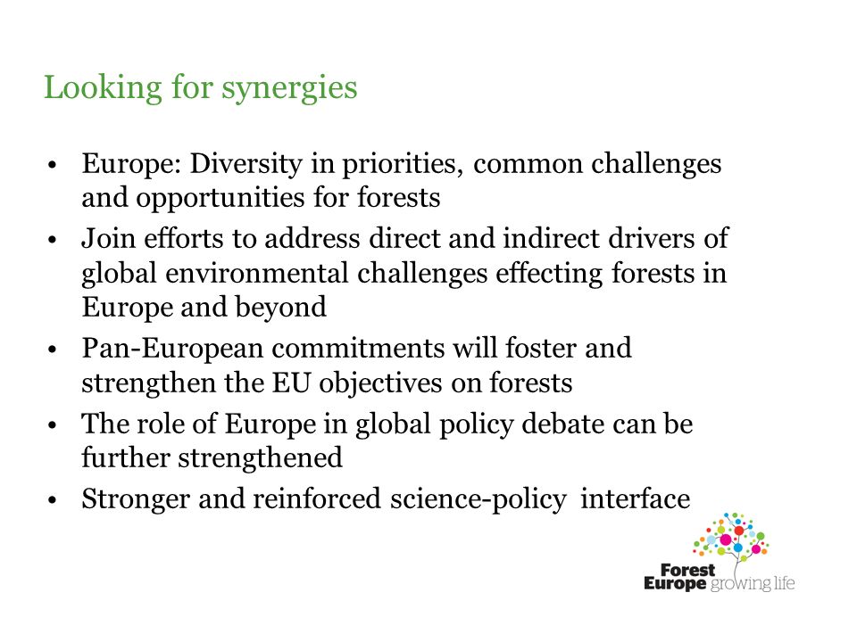 Looking for synergies Europe: Diversity in priorities, common challenges and opportunities for forests Join efforts to address direct and indirect drivers of global environmental challenges effecting forests in Europe and beyond Pan-European commitments will foster and strengthen the EU objectives on forests The role of Europe in global policy debate can be further strengthened Stronger and reinforced science-policy interface