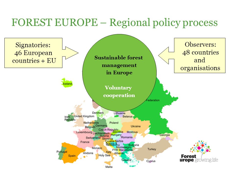 Signatories: 46 European countries + EU Observers: 48 countries and organisations Sustainable forest management in Europe Voluntary cooperation FOREST EUROPE – Regional policy process