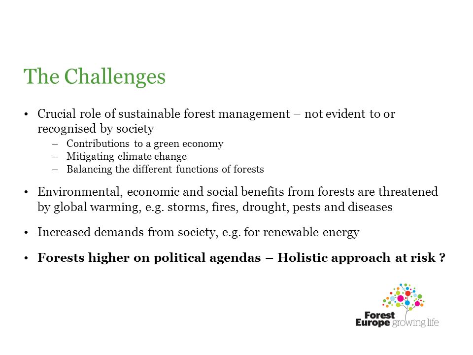 The Challenges Crucial role of sustainable forest management – not evident to or recognised by society –Contributions to a green economy –Mitigating climate change –Balancing the different functions of forests Environmental, economic and social benefits from forests are threatened by global warming, e.g.