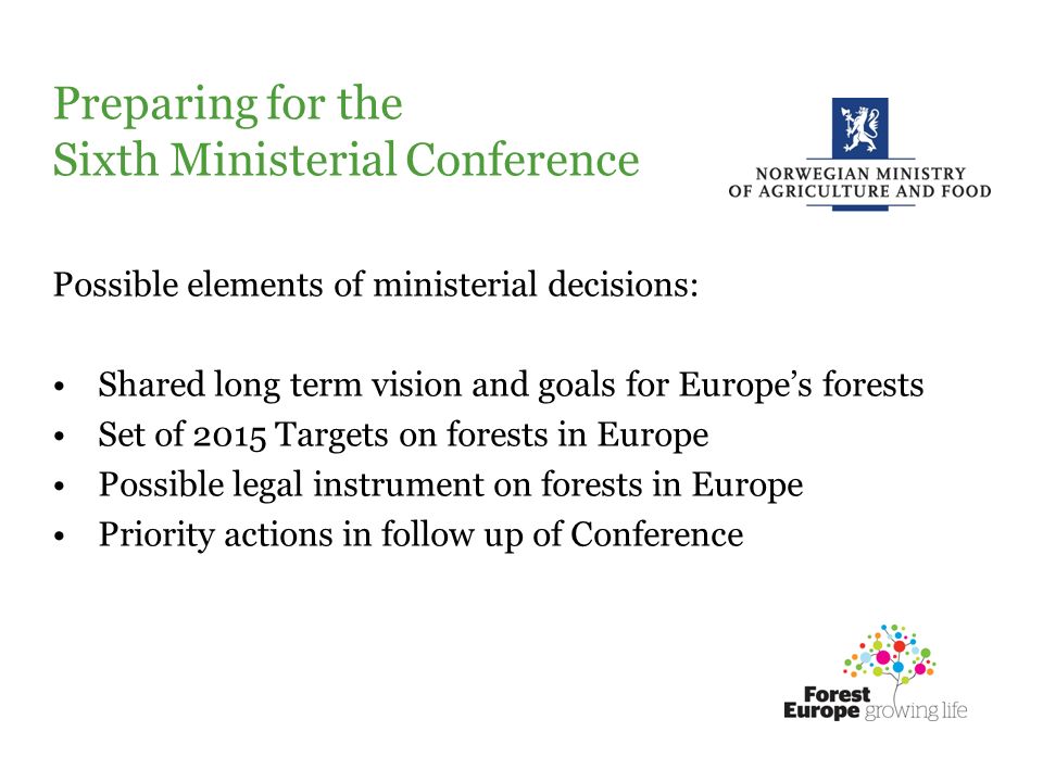 Preparing for the Sixth Ministerial Conference Possible elements of ministerial decisions: Shared long term vision and goals for Europes forests Set of 2015 Targets on forests in Europe Possible legal instrument on forests in Europe Priority actions in follow up of Conference