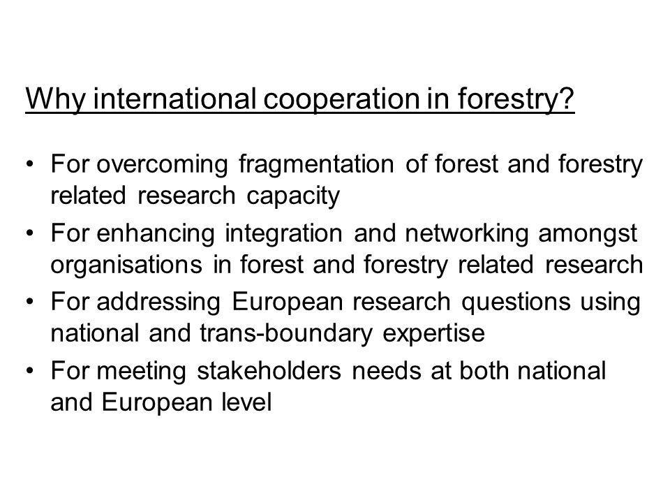 Why international cooperation in forestry.
