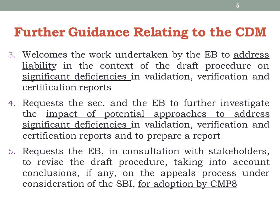 Further Guidance Relating to the CDM 3.