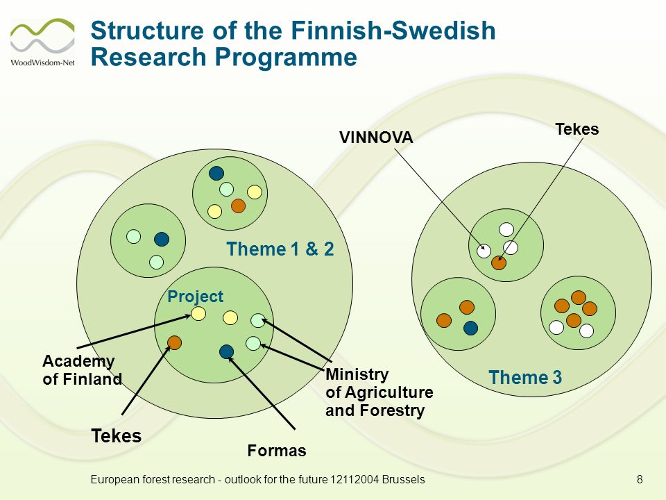 European forest research - outlook for the future Brussels8 Structure of the Finnish-Swedish Research Programme Theme 1 & 2 Ministry of Agriculture and Forestry Formas Tekes Academy of Finland Project Theme 3 VINNOVA Tekes