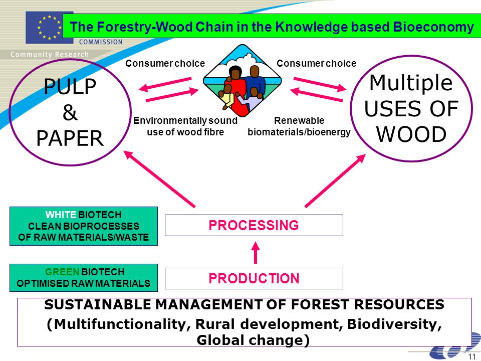 11 WHITE BIOTECH CLEAN BIOPROCESSES OF RAW MATERIALS/WASTE The Forestry-Wood Chain in the Knowledge based Bioeconomy SUSTAINABLE MANAGEMENT OF FOREST RESOURCES (Multifunctionality, Rural development, Biodiversity, Global change) PULP & PAPER Environmentally sound use of wood fibre Renewable biomaterials/bioenergy Consumer choice Multiple USES OF WOOD GREEN BIOTECH OPTIMISED RAW MATERIALS PRODUCTION PROCESSING Consumer choice