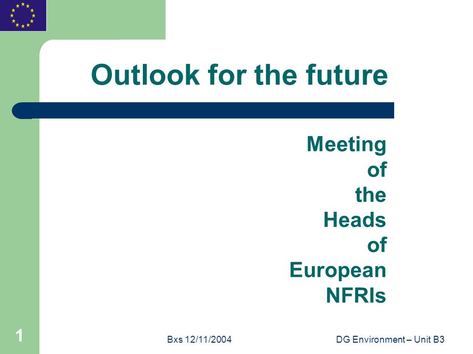 Bxs 12/11/2004DG Environment – Unit B3 1 Outlook for the future Meeting of the Heads of European NFRIs