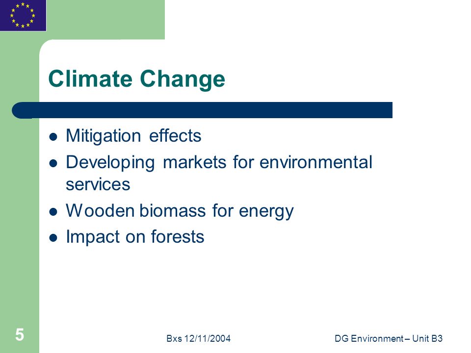 Bxs 12/11/2004DG Environment – Unit B3 5 Climate Change Mitigation effects Developing markets for environmental services Wooden biomass for energy Impact on forests