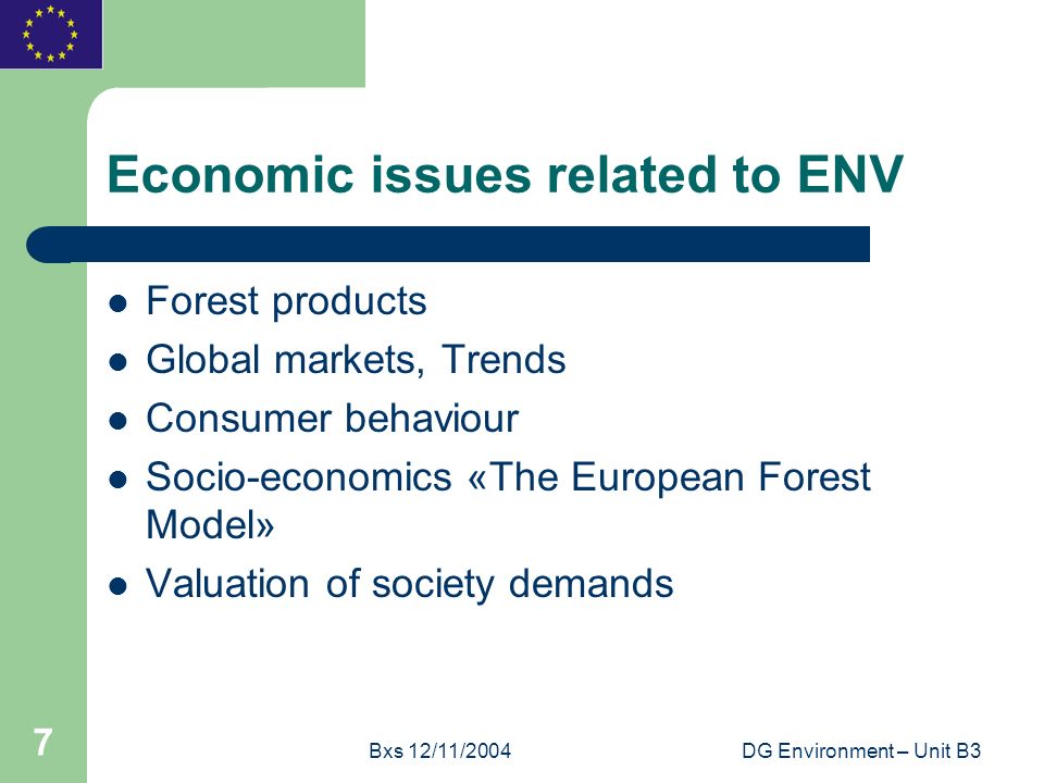 Bxs 12/11/2004DG Environment – Unit B3 7 Economic issues related to ENV Forest products Global markets, Trends Consumer behaviour Socio-economics «The European Forest Model» Valuation of society demands