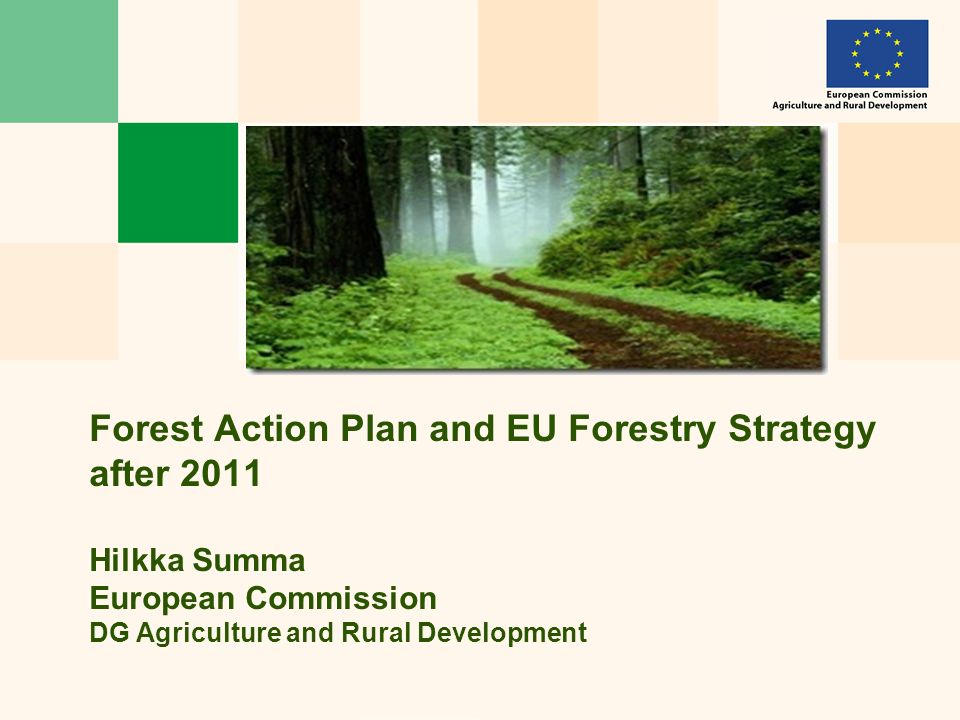 Forest Action Plan and EU Forestry Strategy after 2011 Hilkka Summa European Commission DG Agriculture and Rural Development
