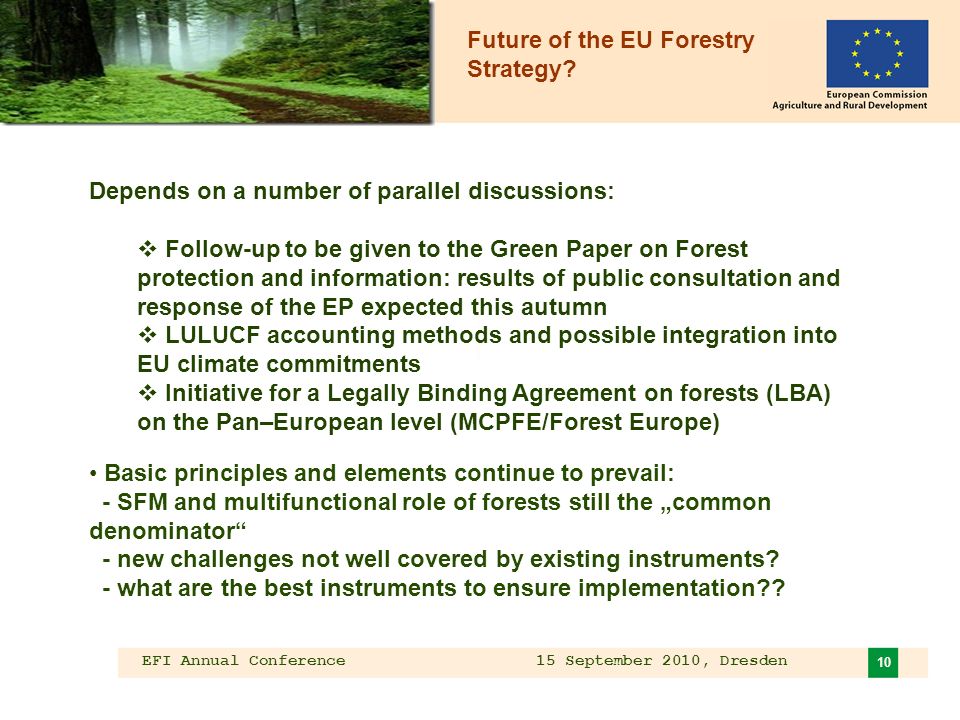 EFI Annual Conference 15 September 2010, Dresden 10 Depends on a number of parallel discussions: Follow-up to be given to the Green Paper on Forest protection and information: results of public consultation and response of the EP expected this autumn LULUCF accounting methods and possible integration into EU climate commitments Initiative for a Legally Binding Agreement on forests (LBA) on the Pan–European level (MCPFE/Forest Europe) Basic principles and elements continue to prevail: - SFM and multifunctional role of forests still the common denominator - new challenges not well covered by existing instruments.