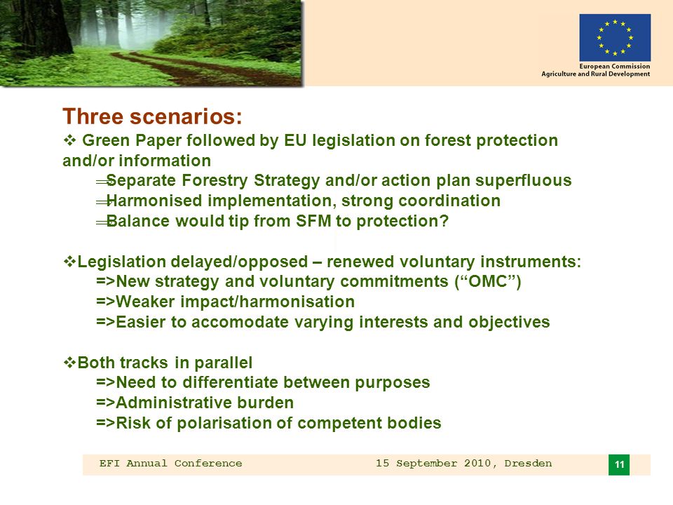 EFI Annual Conference 15 September 2010, Dresden 11 Three scenarios: Green Paper followed by EU legislation on forest protection and/or information Separate Forestry Strategy and/or action plan superfluous Harmonised implementation, strong coordination Balance would tip from SFM to protection.