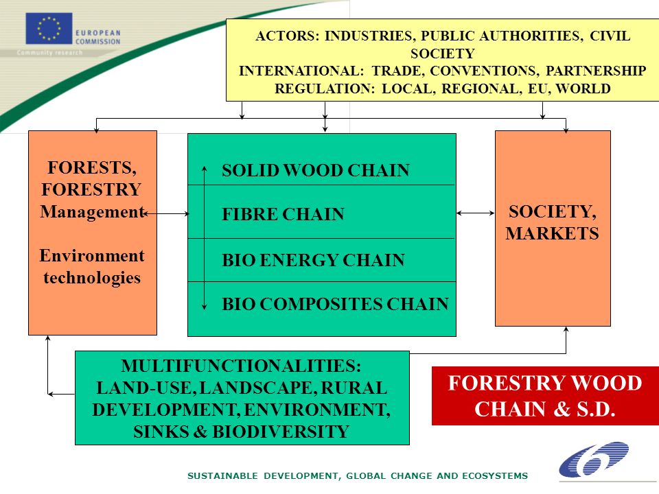 SUSTAINABLE DEVELOPMENT, GLOBAL CHANGE AND ECOSYSTEMS ACTORS: INDUSTRIES, PUBLIC AUTHORITIES, CIVIL SOCIETY INTERNATIONAL: TRADE, CONVENTIONS, PARTNERSHIP REGULATION: LOCAL, REGIONAL, EU, WORLD FORESTS, FORESTRY Management Environment technologies SOCIETY, MARKETS MULTIFUNCTIONALITIES: LAND-USE, LANDSCAPE, RURAL DEVELOPMENT, ENVIRONMENT, SINKS & BIODIVERSITY SOLID WOOD CHAIN FIBRE CHAIN BIO ENERGY CHAIN BIO COMPOSITES CHAIN FORESTRY WOOD CHAIN & S.D.