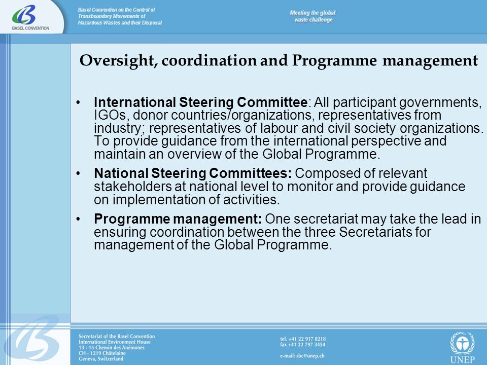 Oversight, coordination and Programme management International Steering Committee: All participant governments, IGOs, donor countries/organizations, representatives from industry; representatives of labour and civil society organizations.
