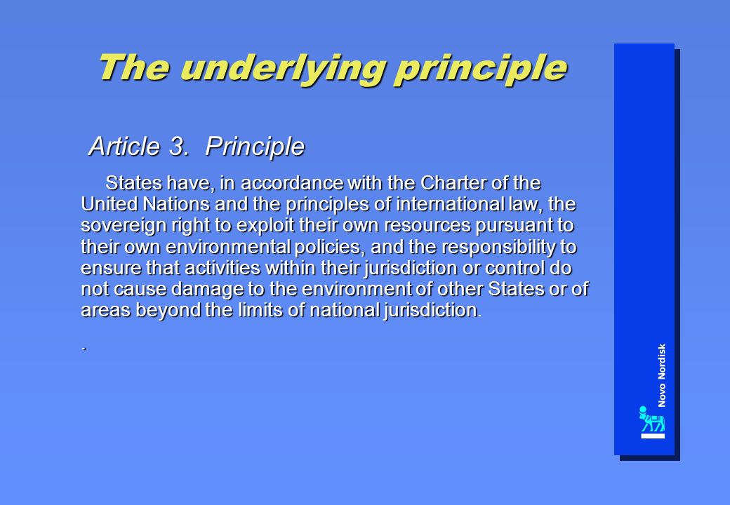 The underlying principle Article 3. Principle Article 3.