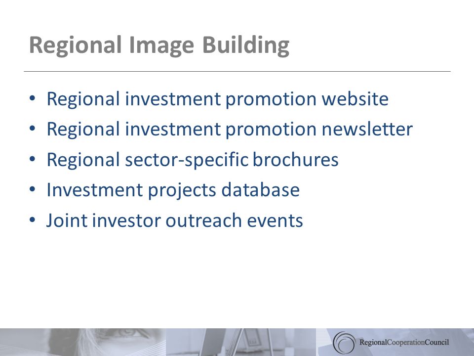 Regional Image Building Regional investment promotion website Regional investment promotion newsletter Regional sector-specific brochures Investment projects database Joint investor outreach events
