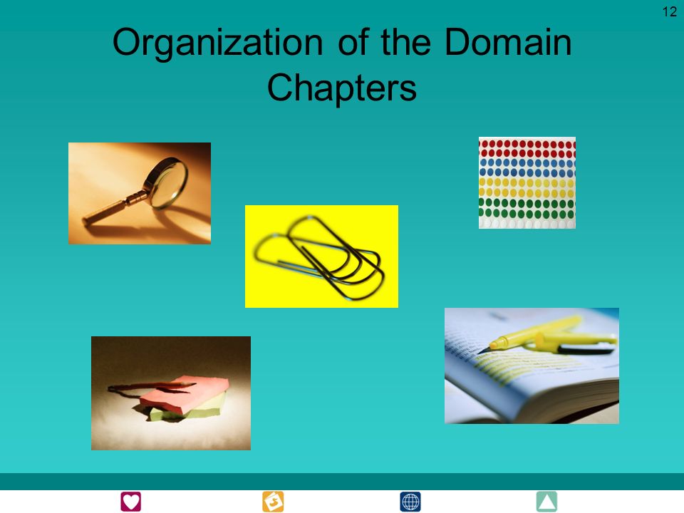 12 Organization of the Domain Chapters