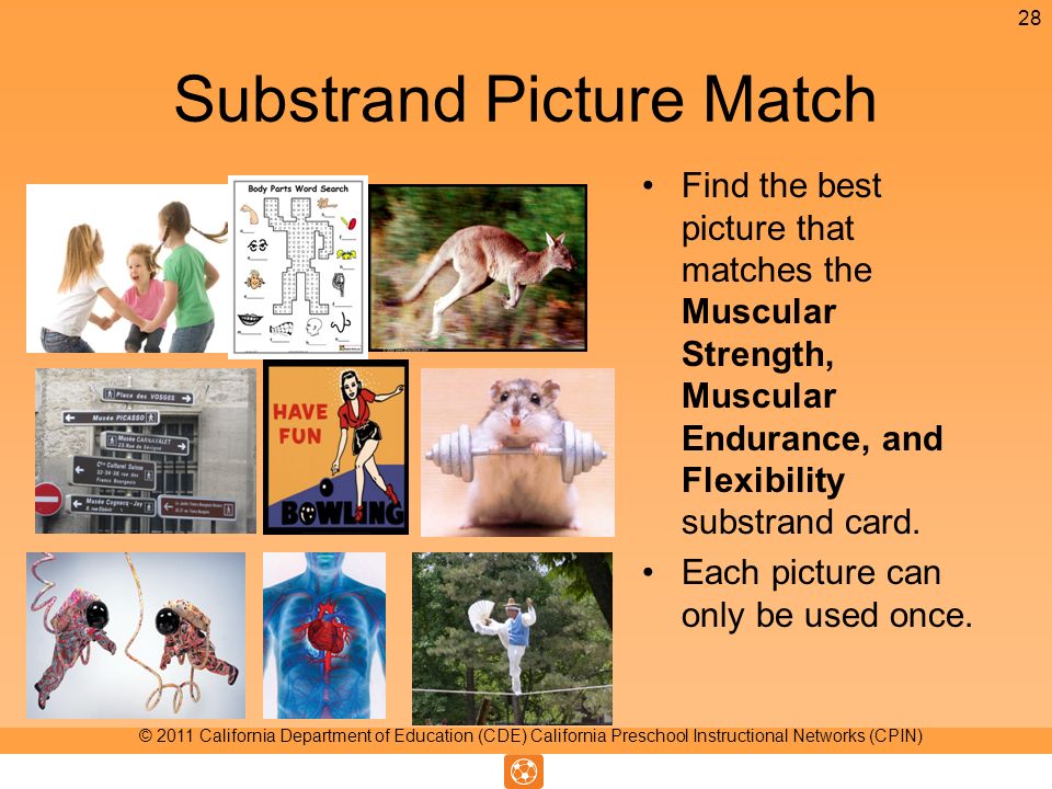 Substrand Picture Match Find the best picture that matches the Muscular Strength, Muscular Endurance, and Flexibility substrand card.