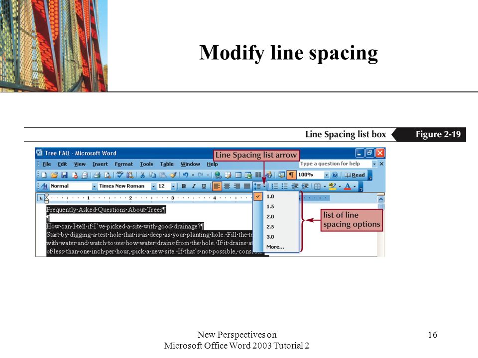 XP New Perspectives on Microsoft Office Word 2003 Tutorial 2 16 Modify line spacing