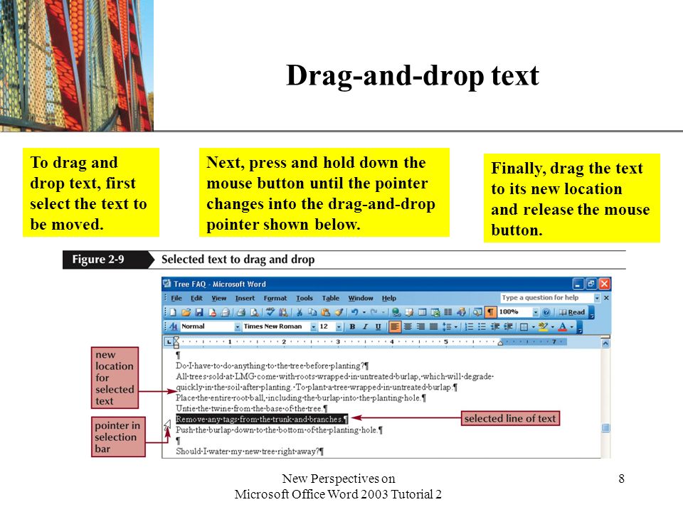 XP New Perspectives on Microsoft Office Word 2003 Tutorial 2 8 Drag-and-drop text To drag and drop text, first select the text to be moved.