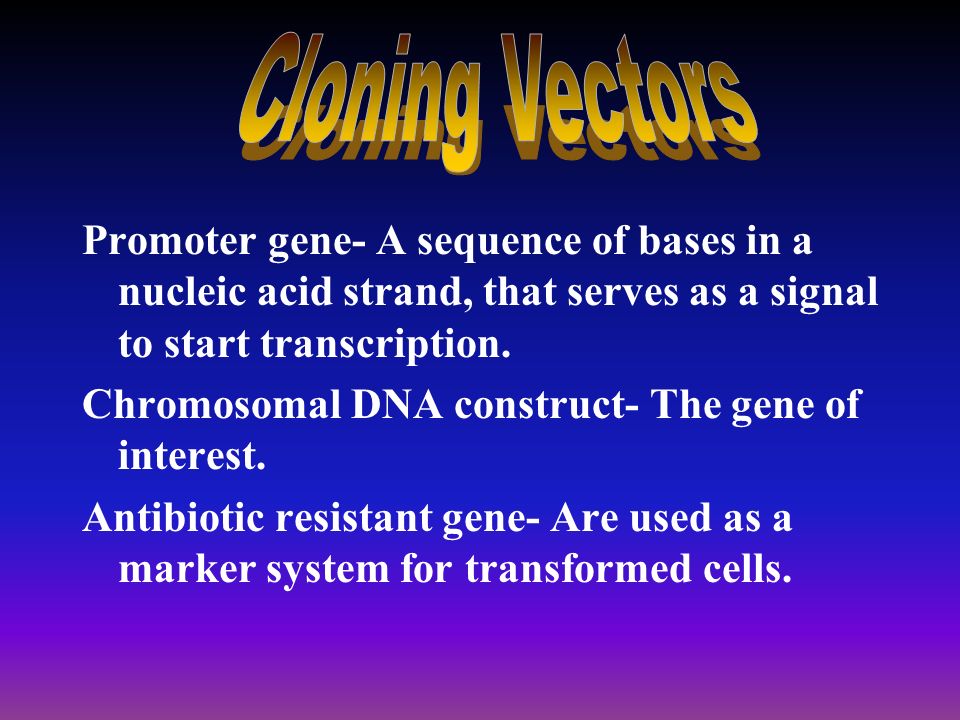 Cloning Vectors -carrier for DNA during the recombinant DNA process.