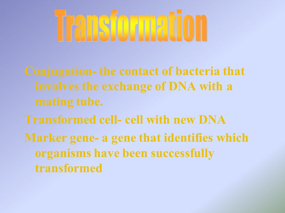 Transformation- process of introducing free DNA into bacteria Competent cell- a cell that is capable of taking up DNA.