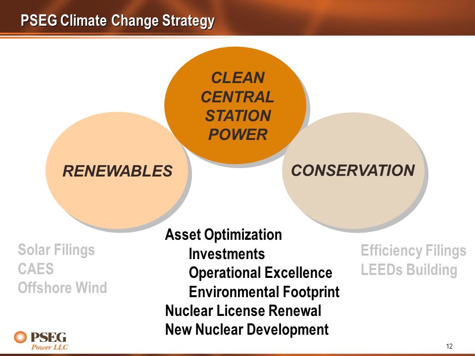 12 PSEG Climate Change Strategy RENEWABLES CONSERVATION CLEAN CENTRAL STATION POWER Solar Filings CAES Offshore Wind Efficiency Filings LEEDs Building Asset Optimization Investments Operational Excellence Environmental Footprint Nuclear License Renewal New Nuclear Development